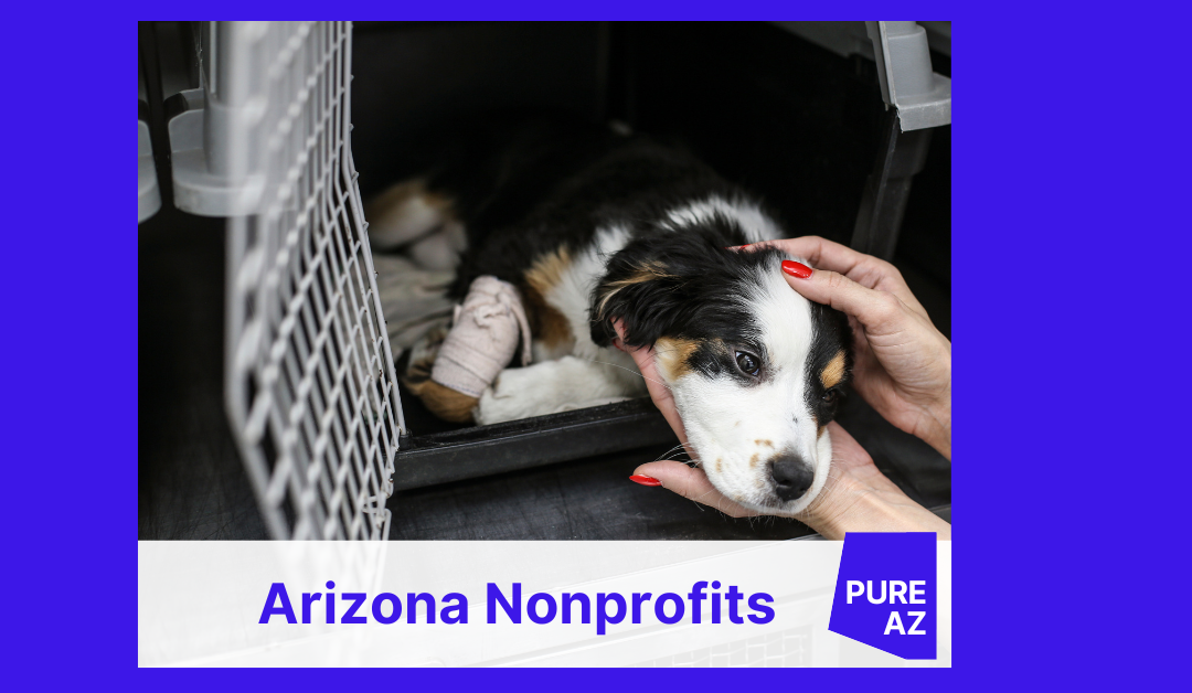 A Guide to Nonprofits in Arizona